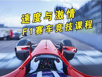 《F1赛车》